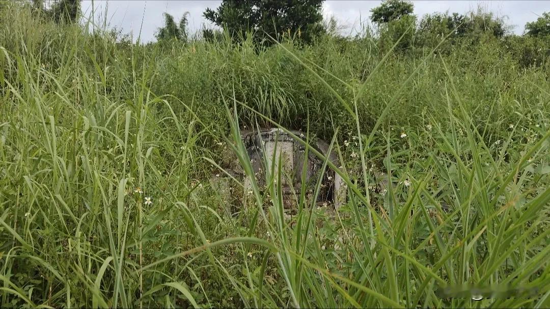 揭西山区里发现一座清代古墓，古墓建在山顶上，周围杂草丛生，古墓规模比较落魄简单，