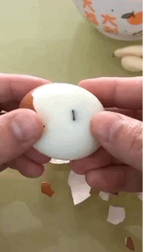 这个厉害了
造反蛋