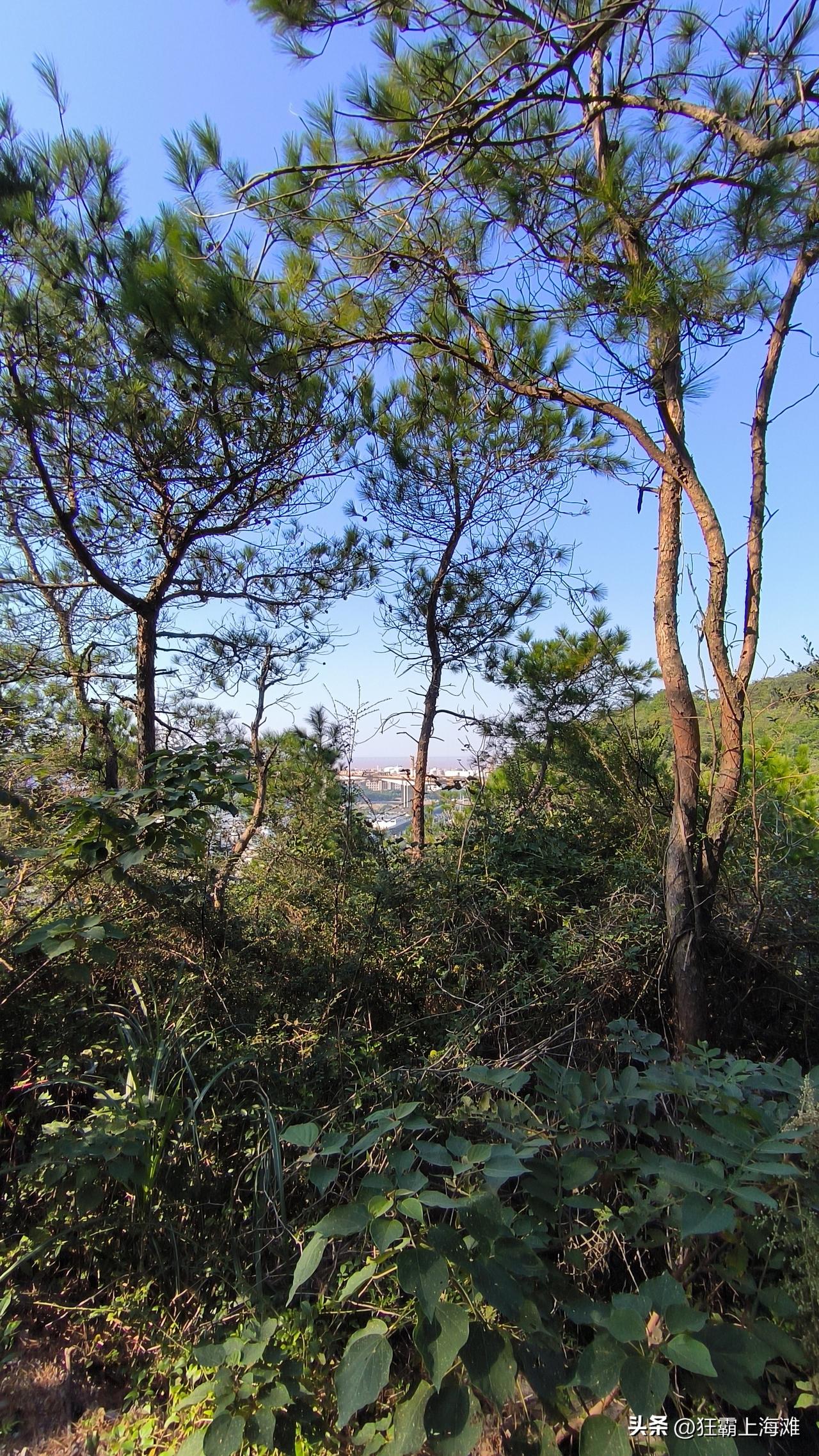 杭甬高速复线，横跨甬江特大桥建设进度！
看起来像已经合龙了的样子，期待早日通车。