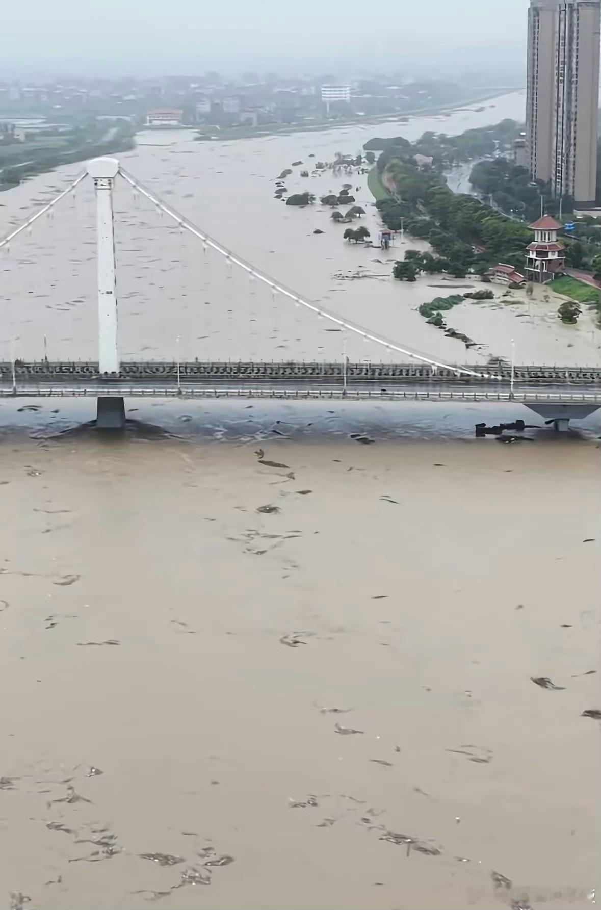 福建受灾严重老家下了一个月雨算是几十年来最大的一次降雨量了很多地方都淹了愿平安?