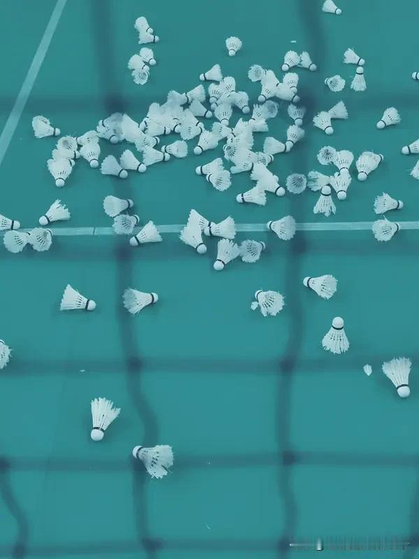 中老年当然可以把打羽毛球作为爱好！
王阿姨退休后加入小区羽毛球俱乐部，半年瘦了1