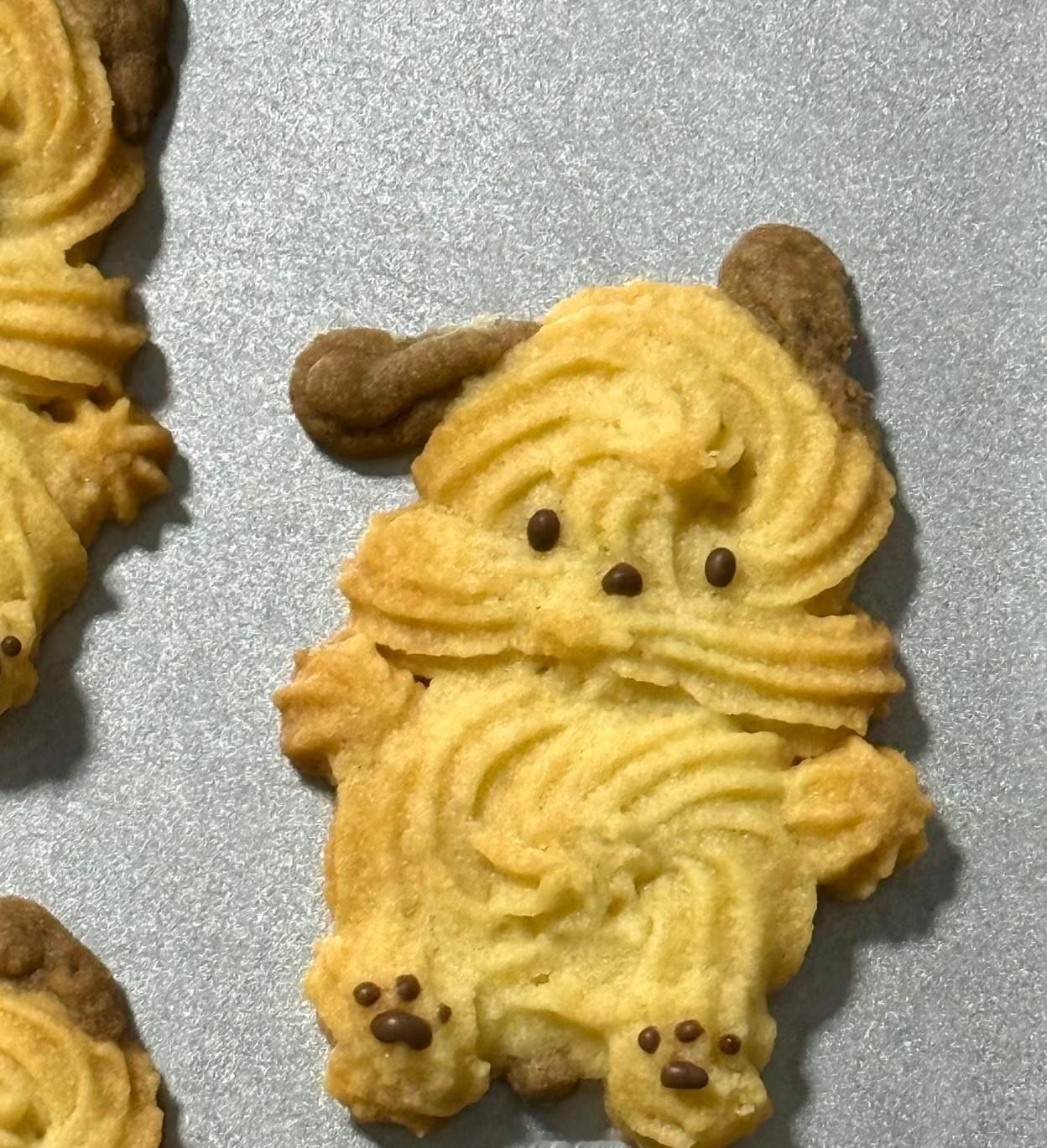 没有吃早饭的小可爱可以拿一块帕恰狗小狗曲奇饼干 