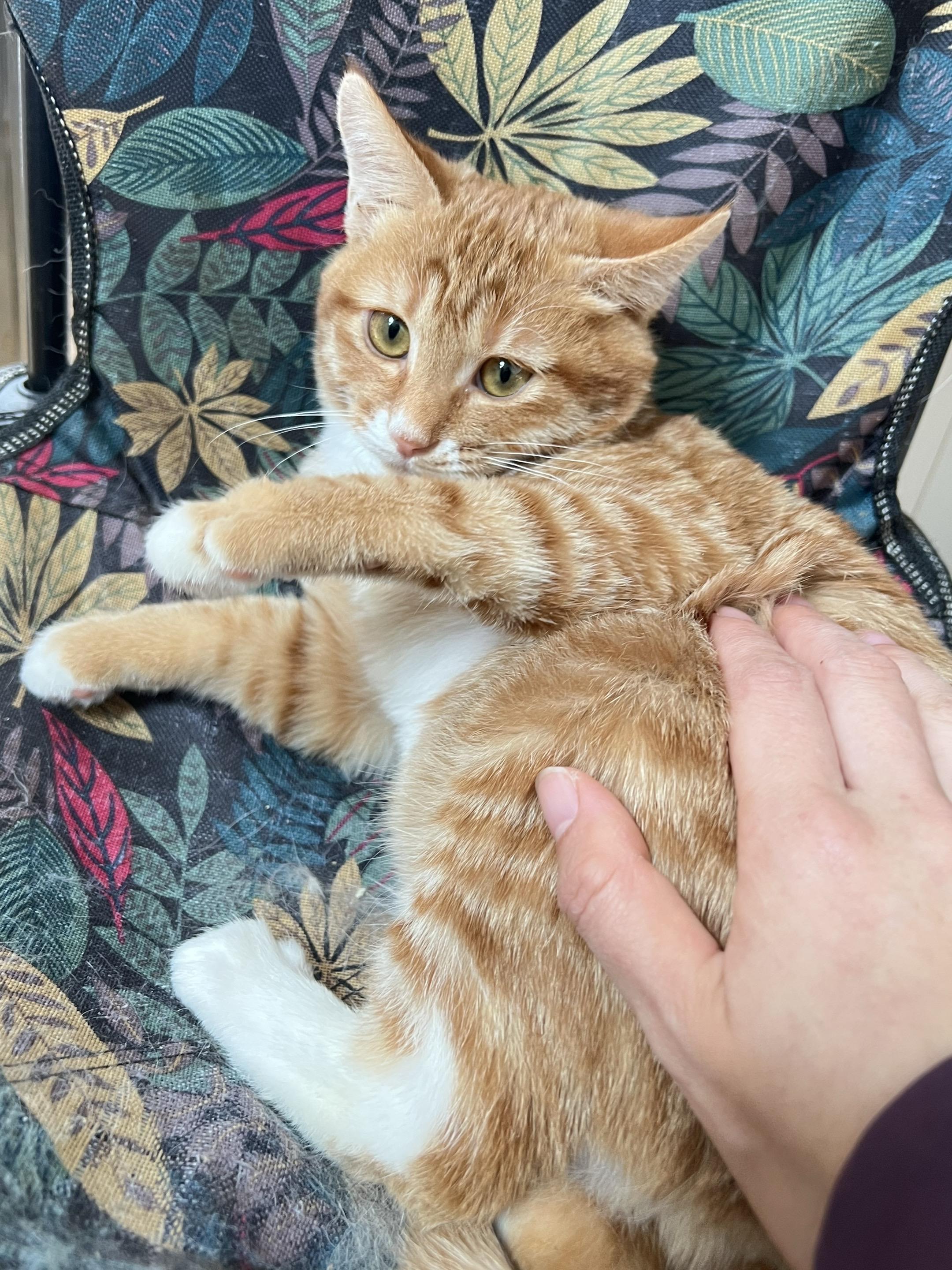 有人陪你过冬天