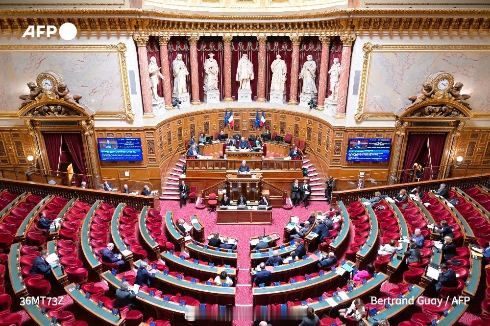 海外新鲜事  在提交四个多月后，2025年的预算案终于在议会通过：参议院以最终批