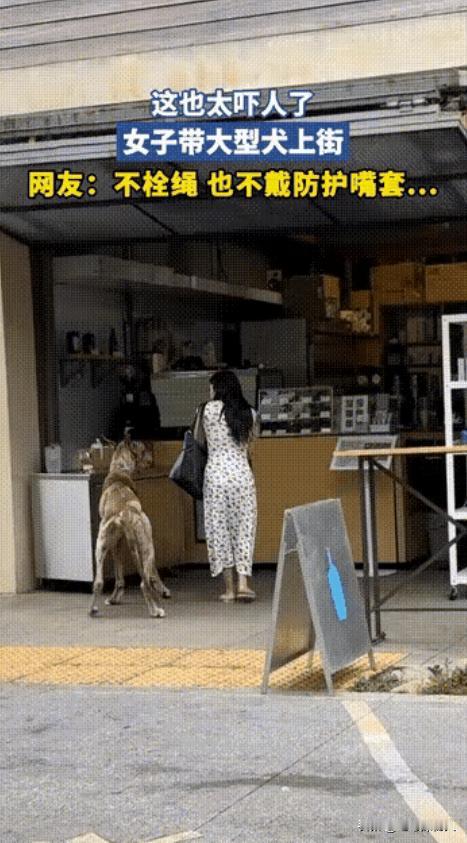 “这也太吓人了！”城市街头的宠物大多以小巧温顺的品种为主，体型适中、性格温和，适