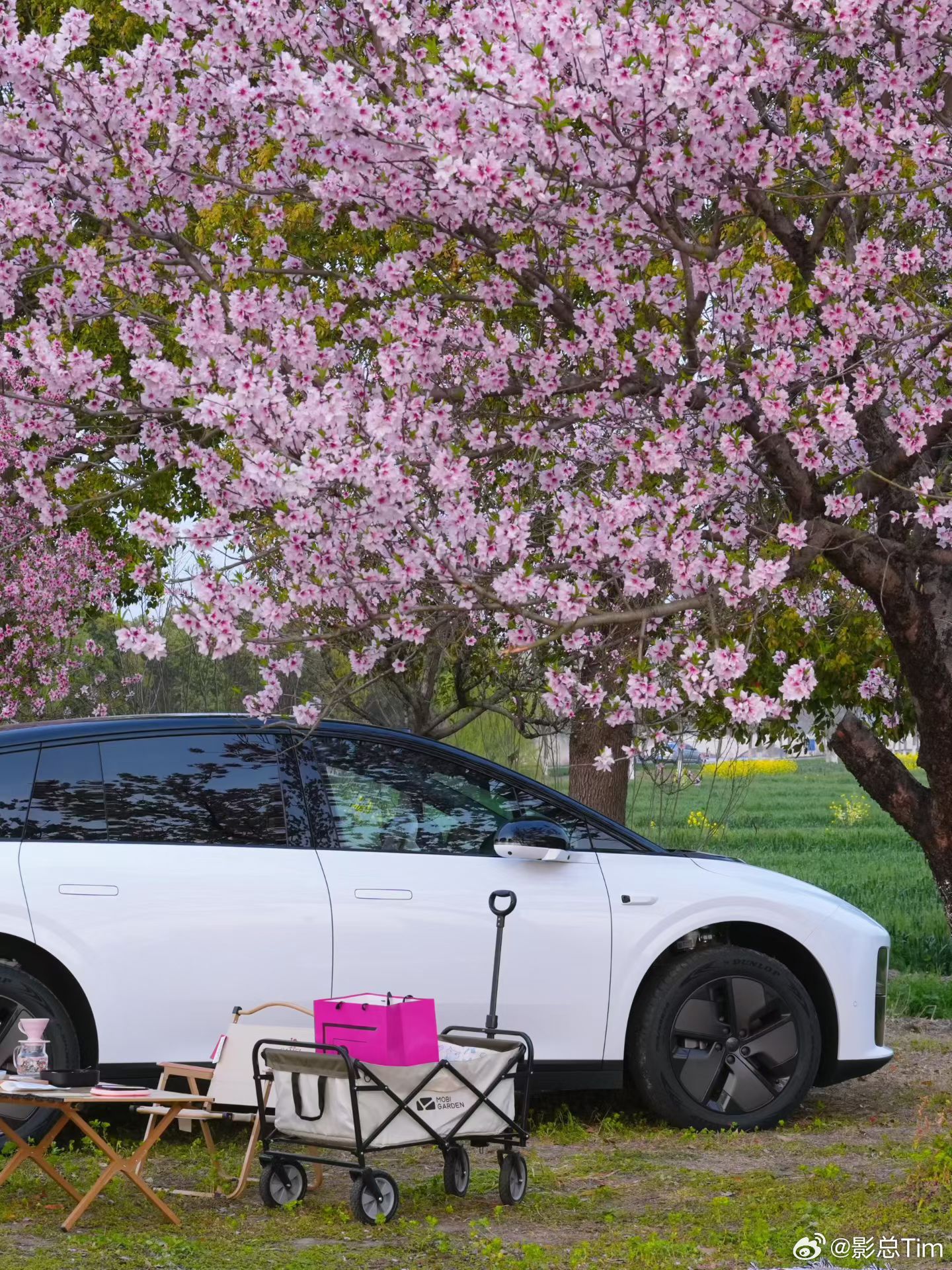 天气太好了，快出来春游啊