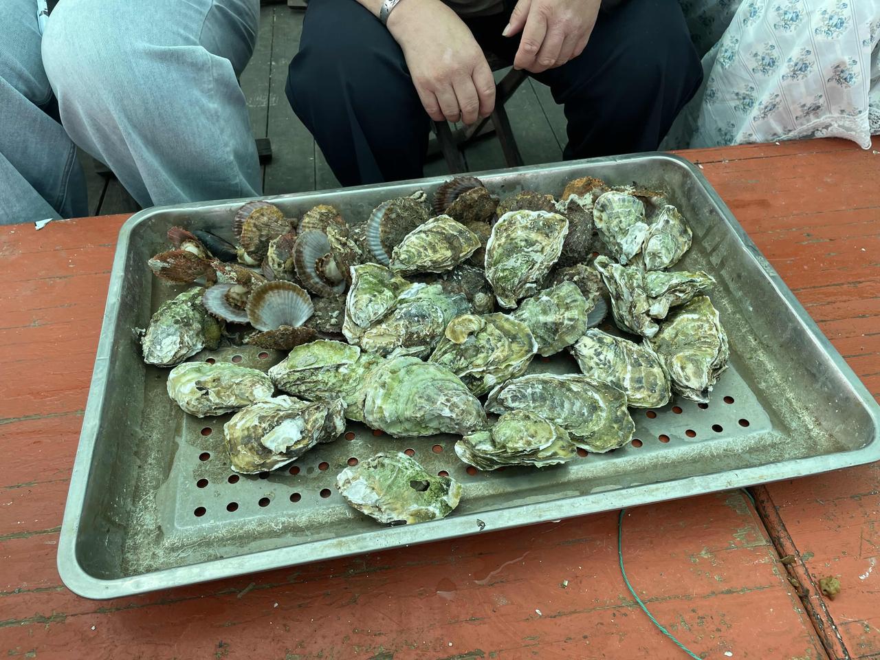 晒图笔记大赛威海游玩打卡海洋牧场，今天吃海鲜，味道不错！