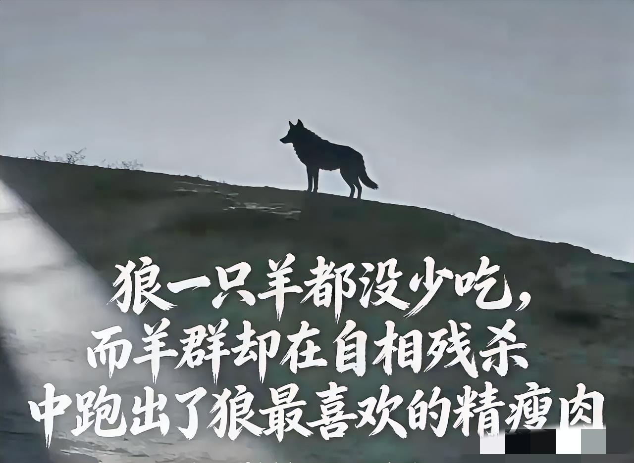 狼给羊立了个规矩：每天跑得最慢的那只羊，会被吃掉。
羊群瞬间慌了，没人琢磨怎么赶