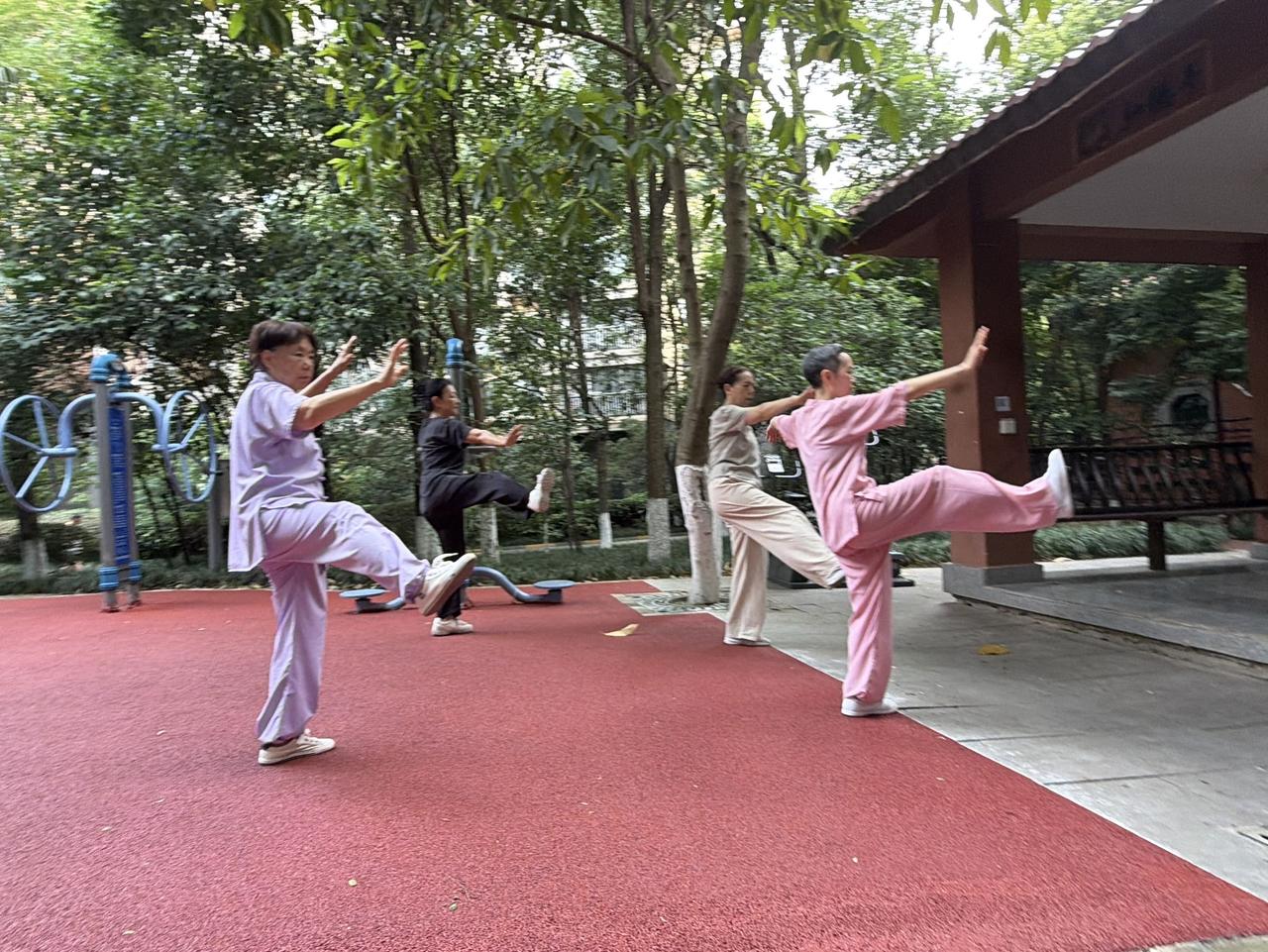 融入团队，以镜正身

今日太极百日计划如常练习，绿树环绕的健身广场，与几位拳友一