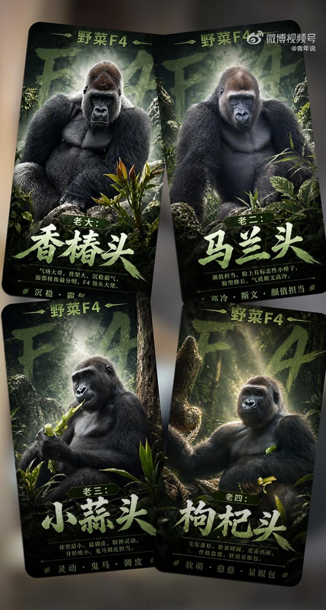 南京红山野菜F4为啥这么火五一南京真正的顶流在这，红山森林动物园，四只大猩猩男明