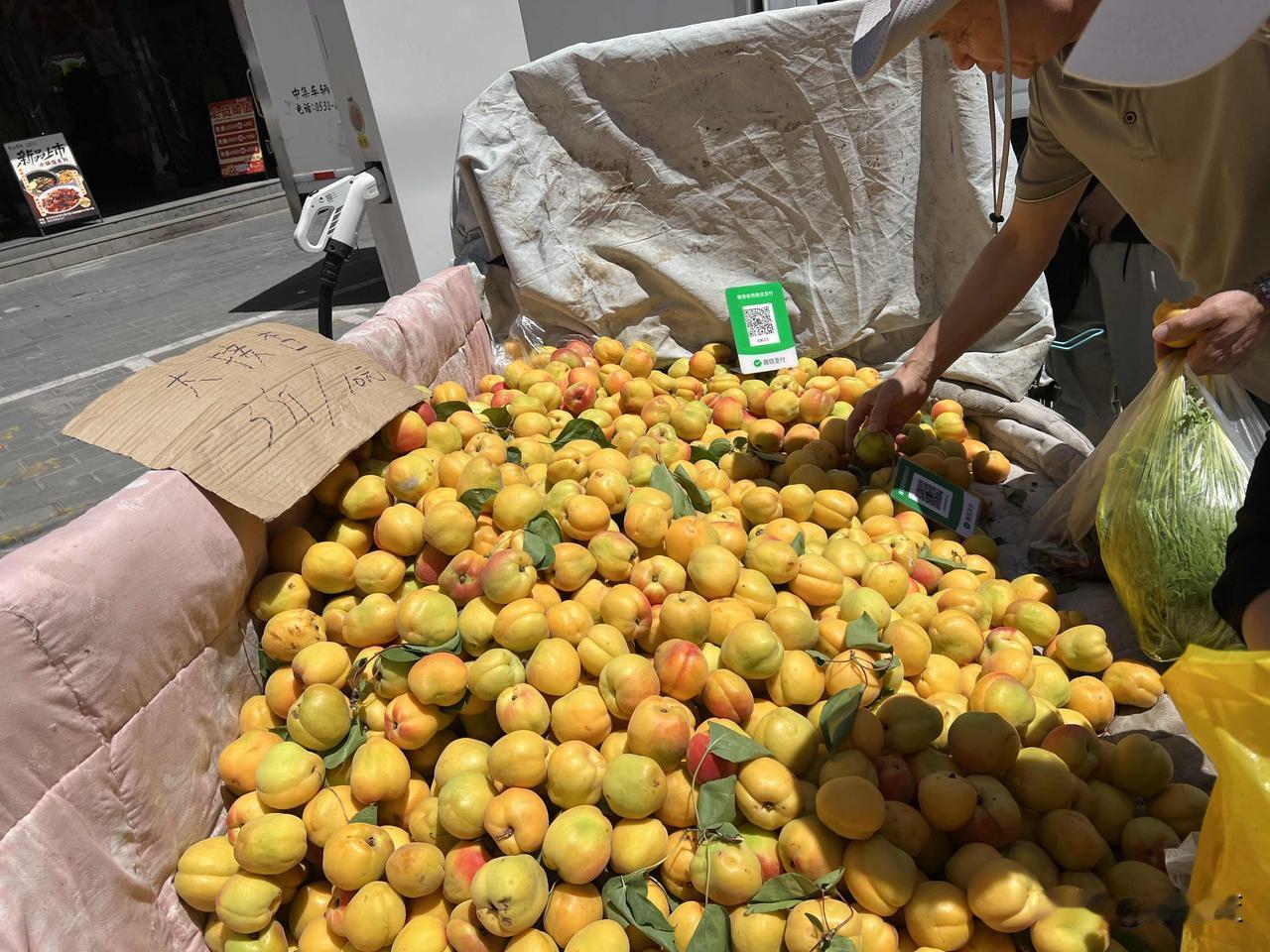地点：兰州市七里河区马滩
今天跟我一起去逛一下兰州的早市，这个早市位于兰州市七里