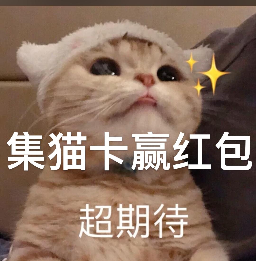 #原来抓了一只招财猫##抓猫猫运动会#喵喵喵我也想参加一波 ​​​