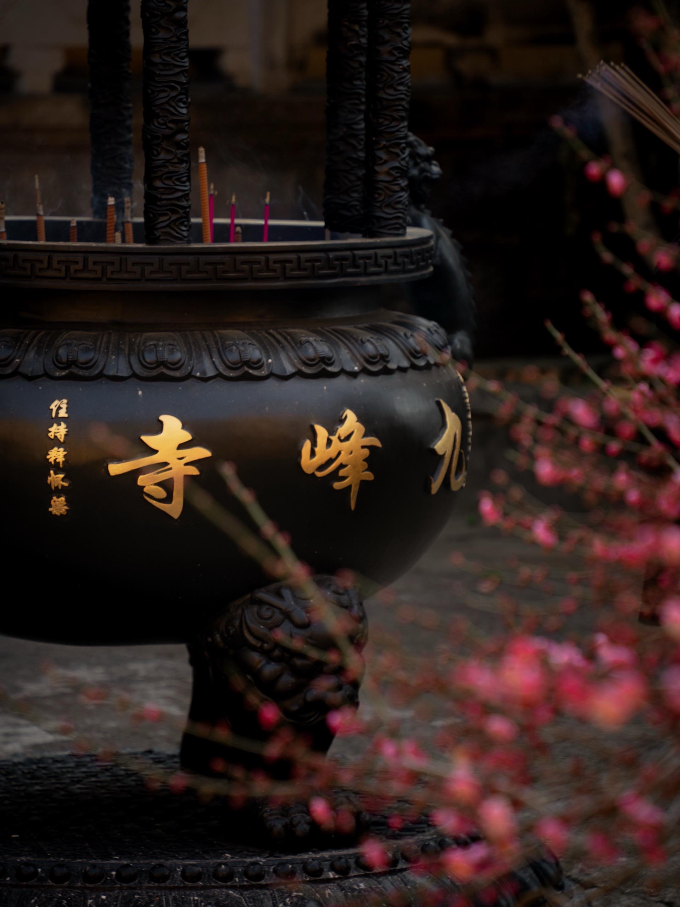 黄岩九峰寺梅开了！黄墙配红梅美到窒息📸。冬日的九峰寺藏着专属温柔，红...