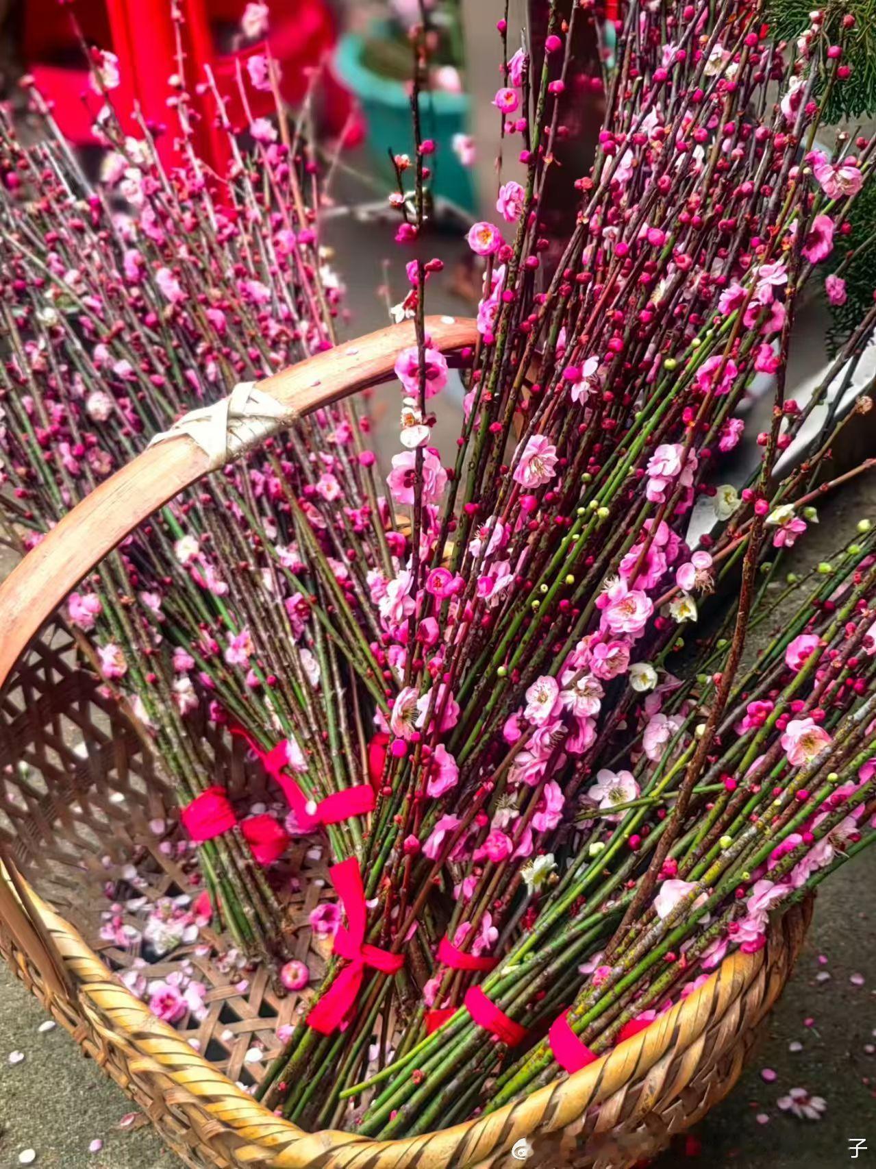 春天里的自然气息和山野淳厚扑面而来 