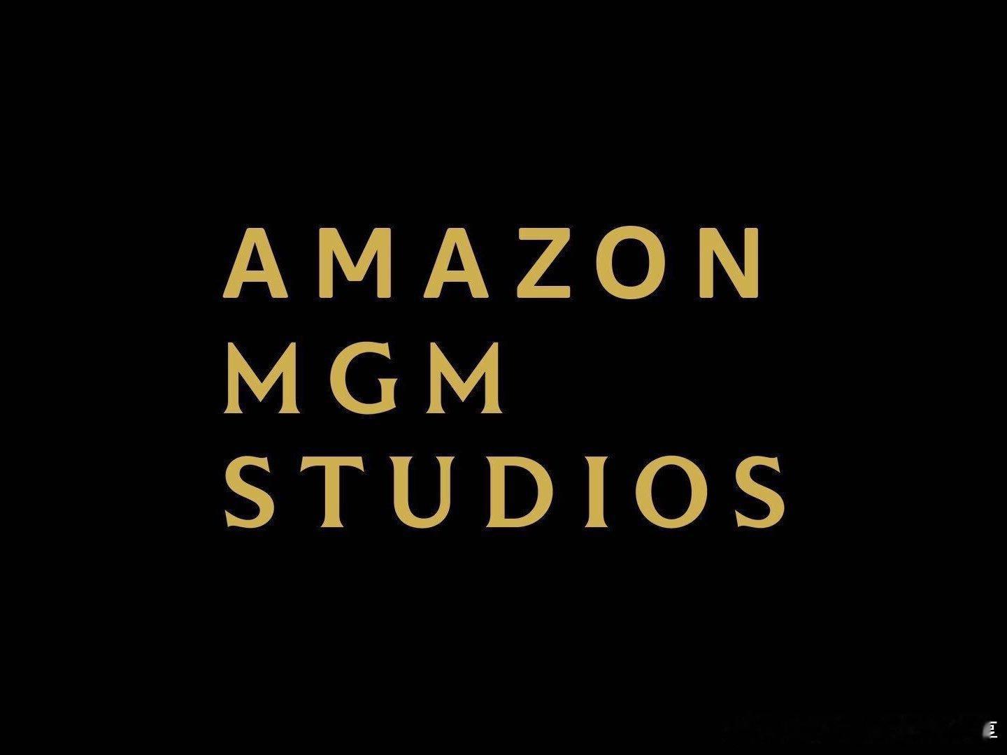 亿万同人字幕组  亚马逊MGM正在开发梅丽尔·威尔斯纳的酷儿体育浪漫喜剧畅销书《