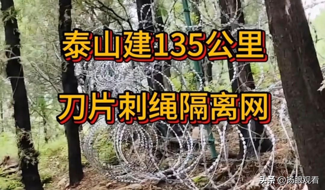 山东省泰安市的泰山铺满135公里刀片刺绳隔离网，属实太反差了！

五岳之首、千年