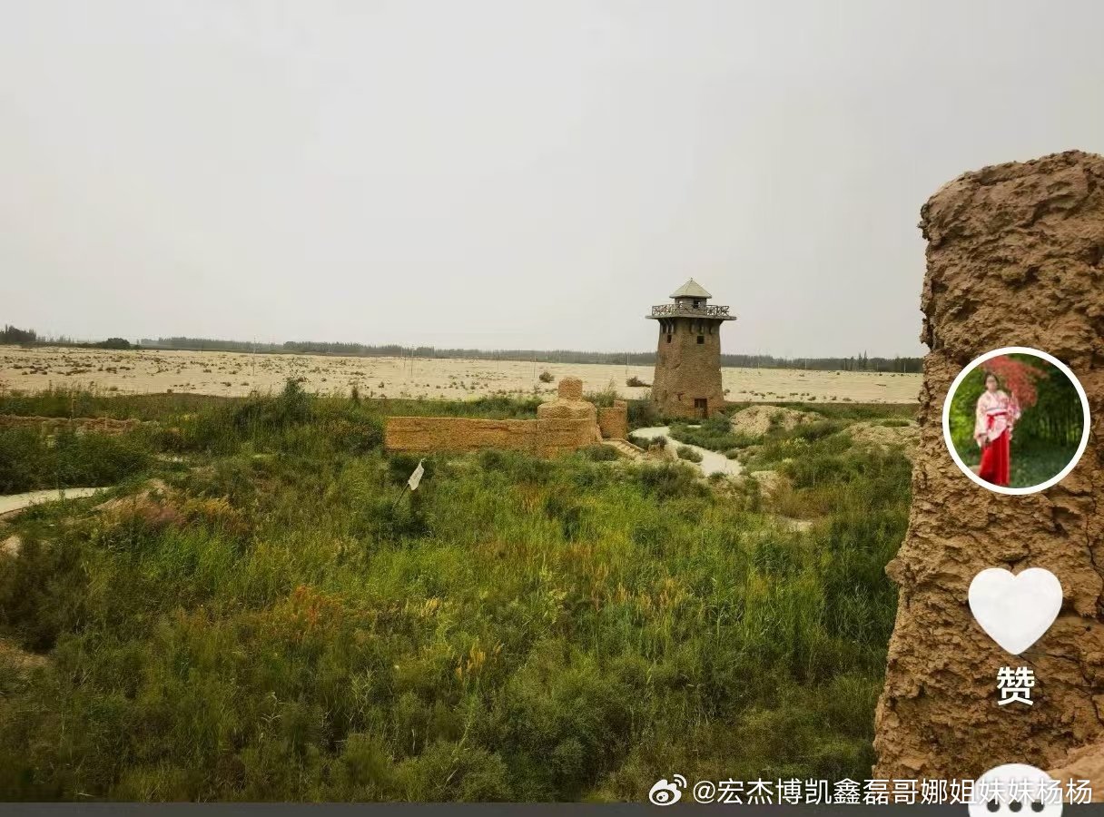 分享图片 