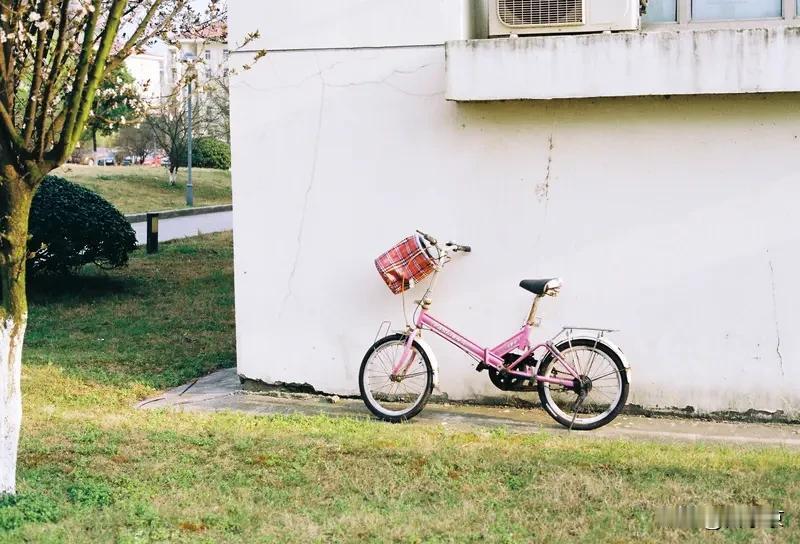 路边小草悄悄冒头，枝头冒出嫩嫩的新芽。
路边小花三三两两开着，不张扬，却格外治愈
