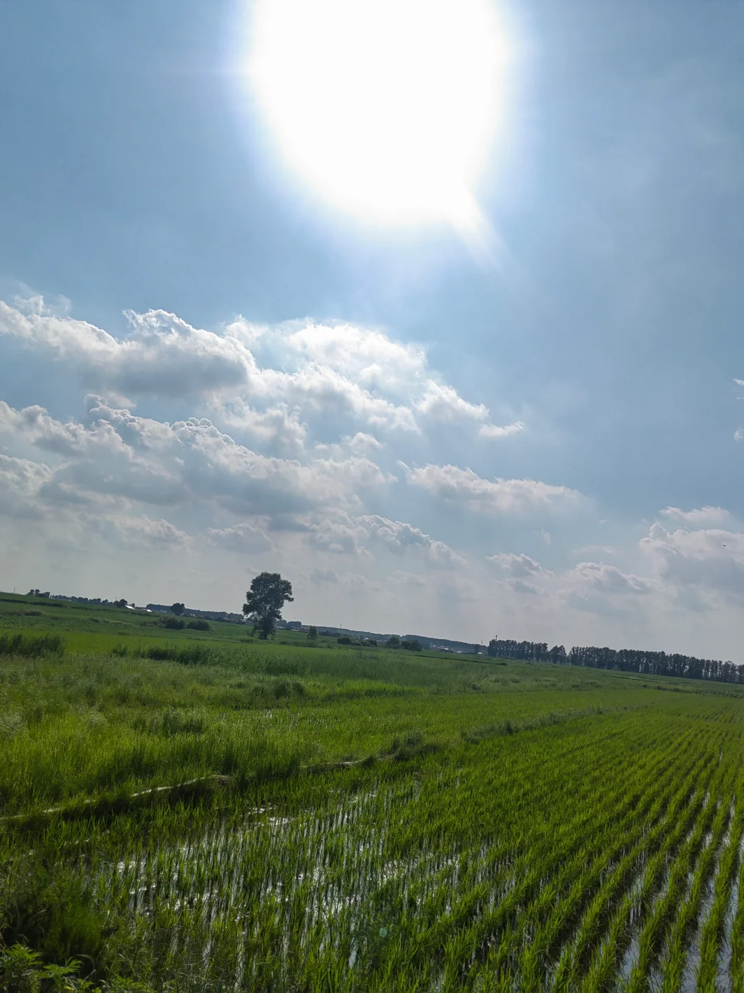 男人会给什么样的女人花钱？