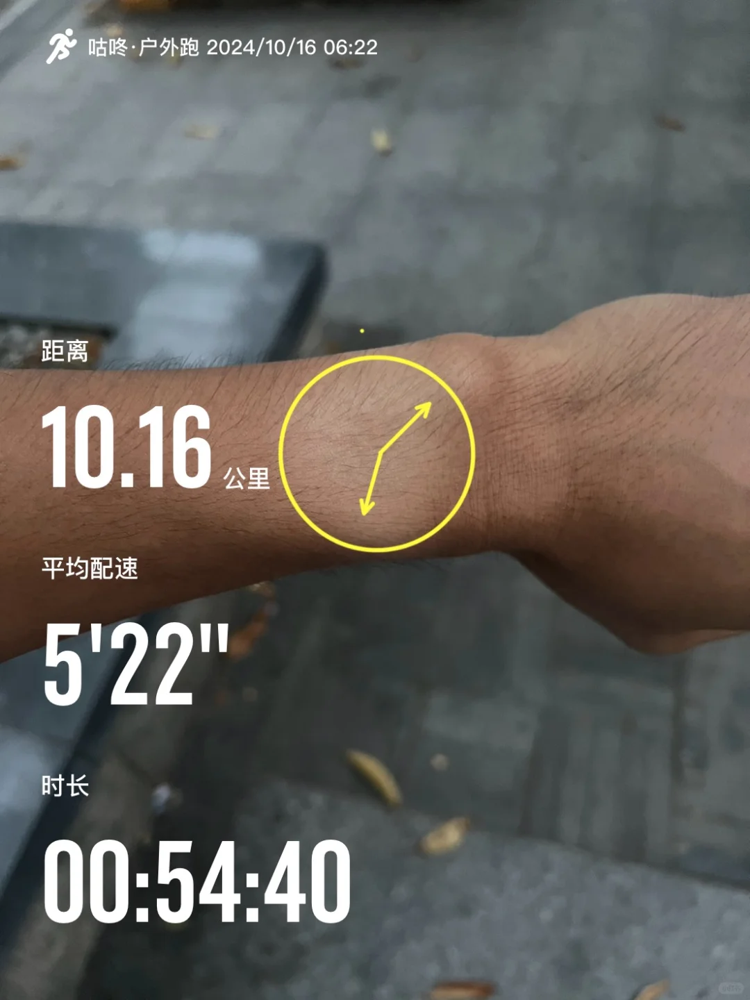 10.16｜皇帝的新表