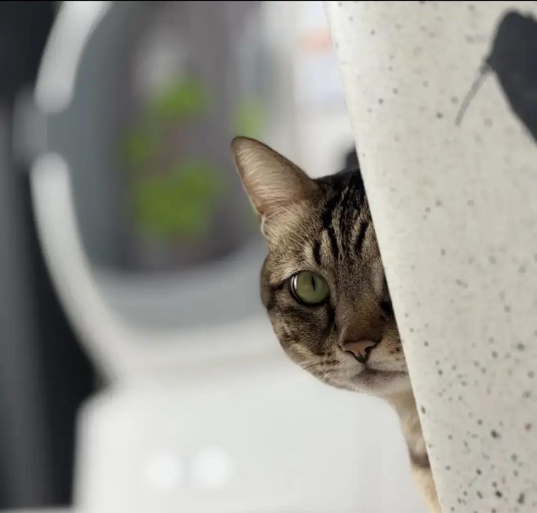 刷到那条“凑近聊不停不分钱还吃醋就是情人”我直接笑出声。
地铁里我对面俩同事天天