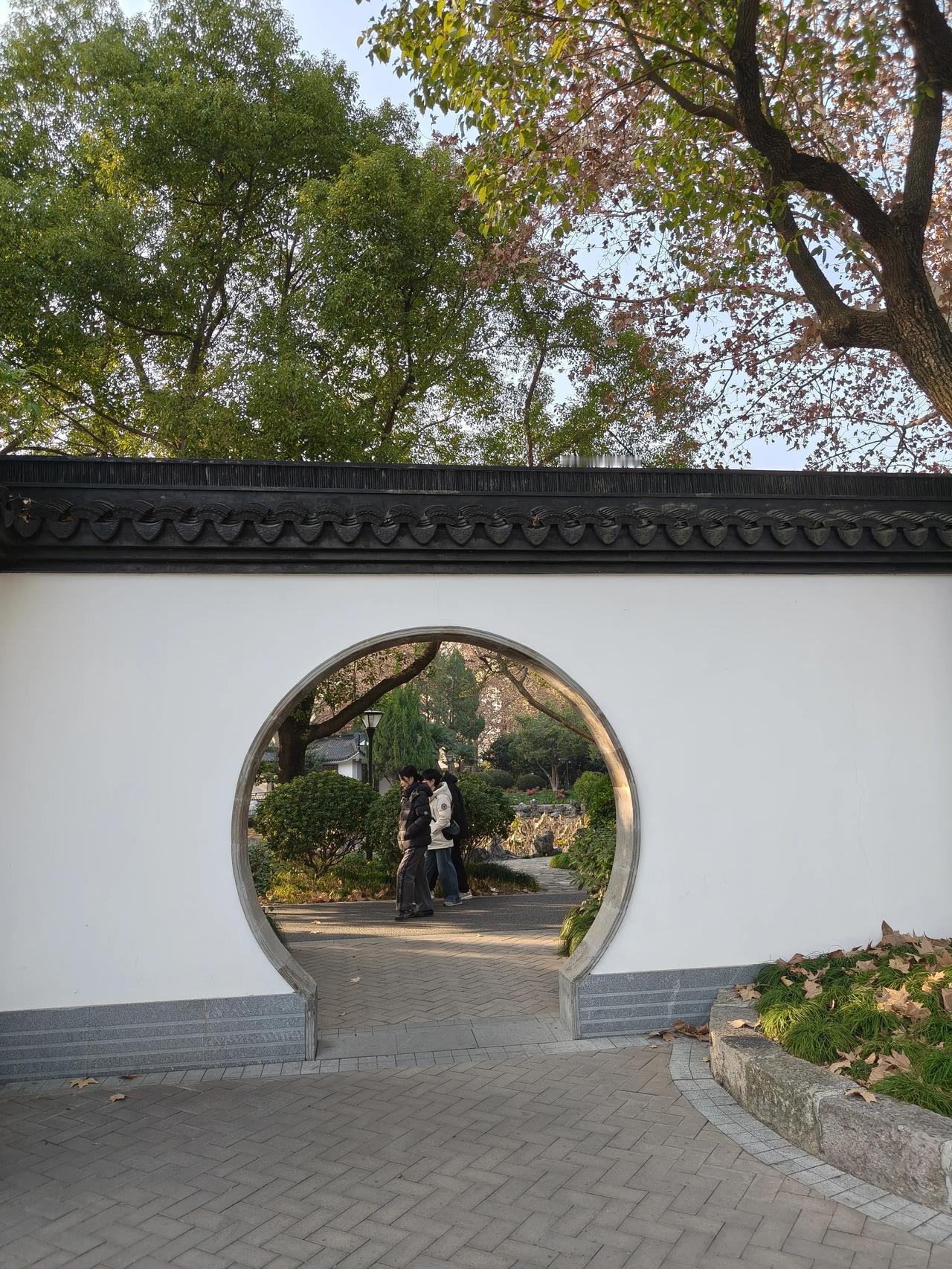 闸北公园冬日午后随手拍实景图分享！
拍摄时间～2025.12.14

🌲🌲?