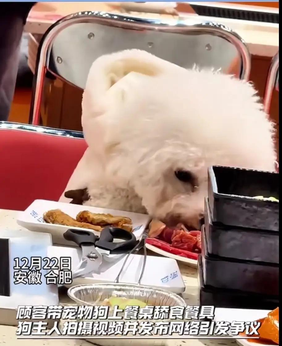 遛狗不拴绳我忍了，大不了绕着走。
公共环境内随地大小便我忍了，大不了我睁大眼睛看