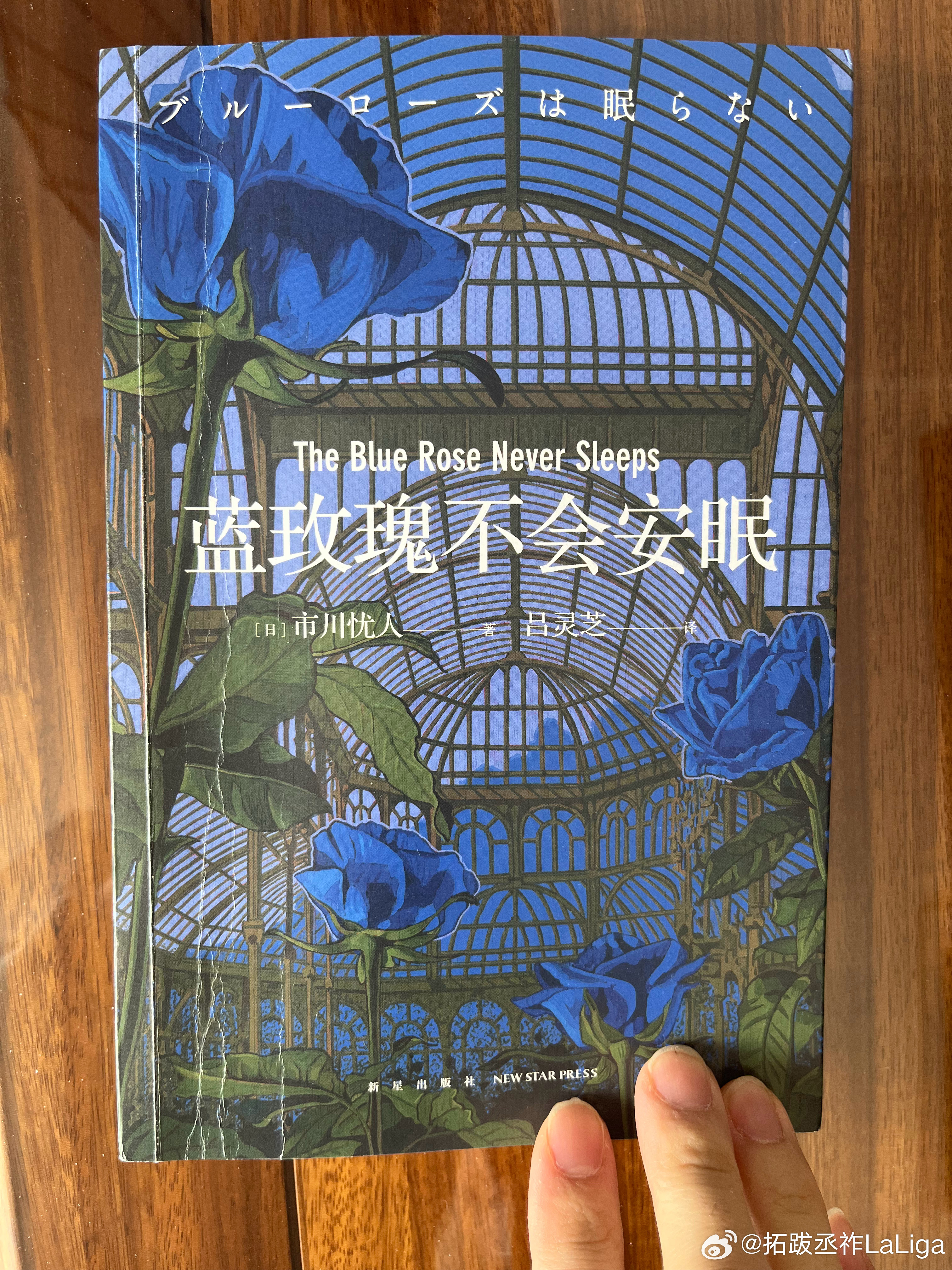 有阵子没看本格推理，通过叙诡让悬念保持到最后。遗憾的是主角存在感不足、作案动机毫