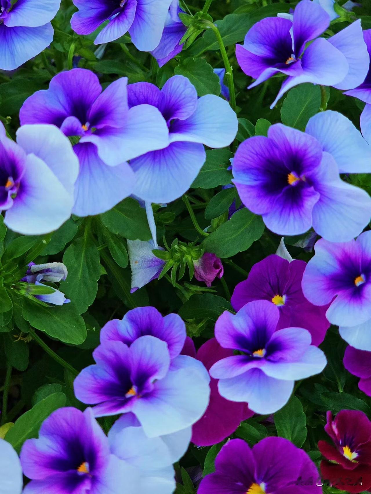 世界上最早的春联是什么? 
【小对联】
上：……？
下：太初。