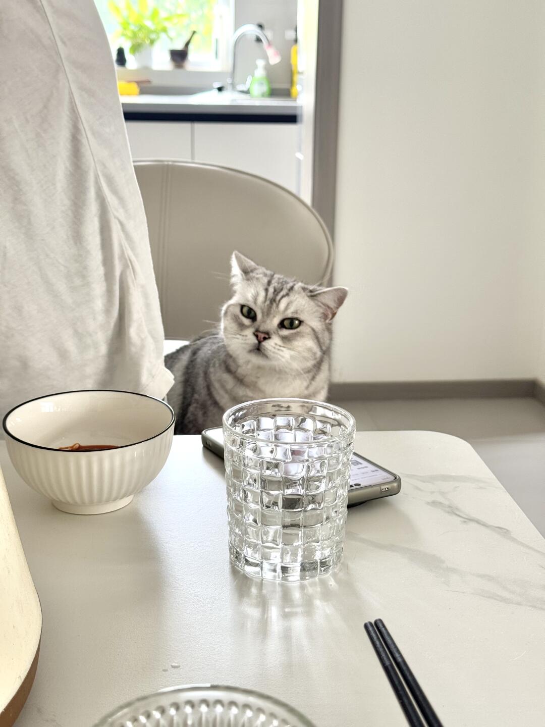 🐱：吃啥呢？