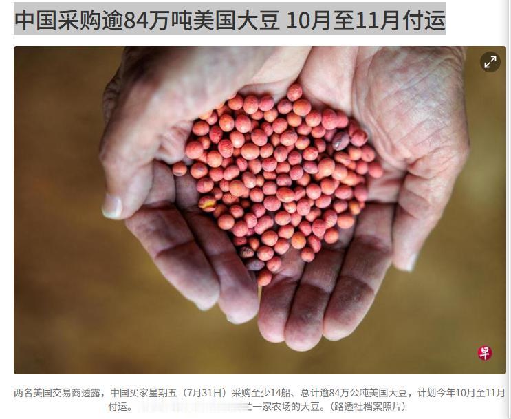 美国有救了！7月31日，中国买家一口气拿下了至少14船美国大豆，总量超过84万公