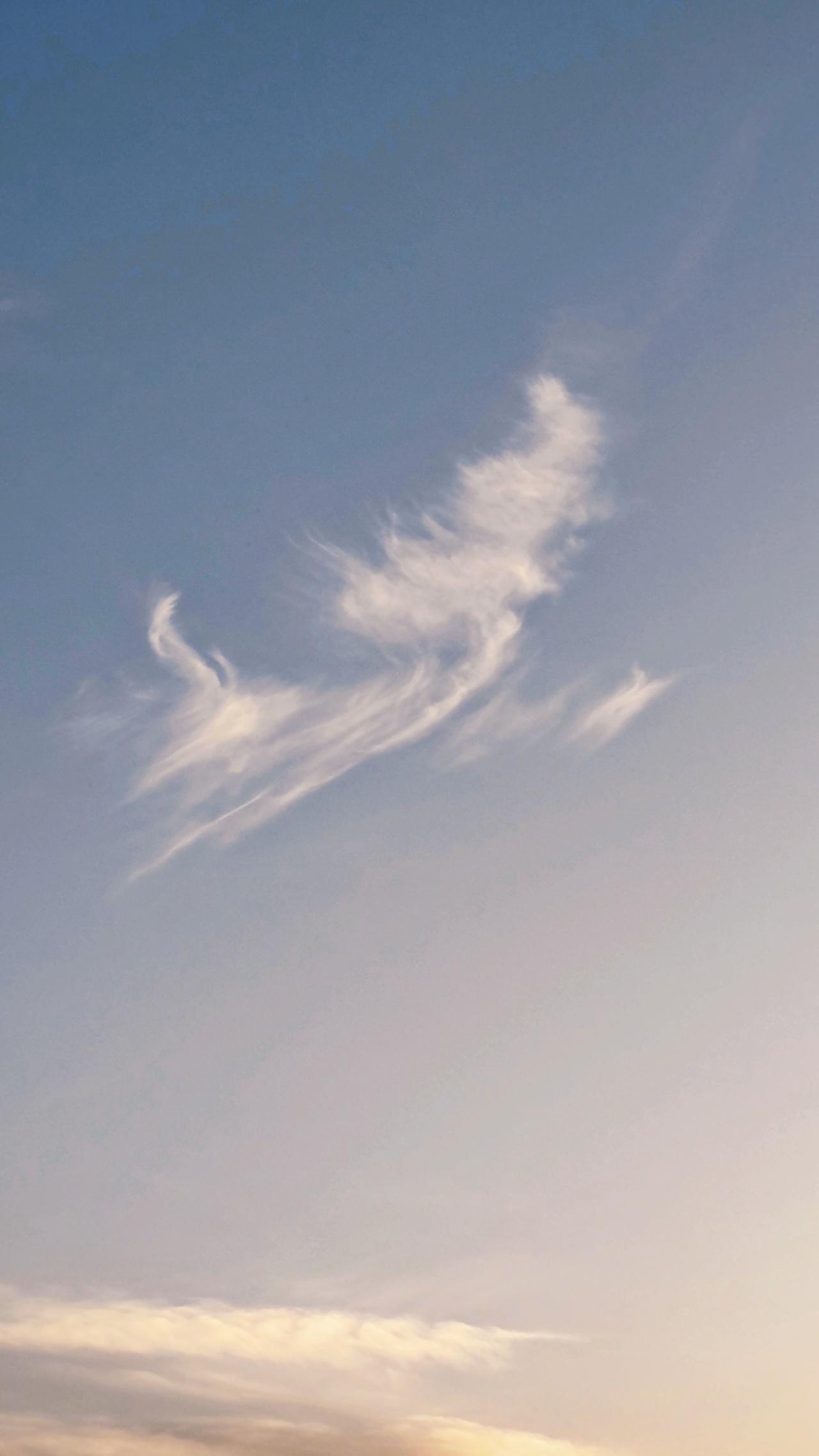 相信自己的直觉，
久了，
才会慢慢明白：
它从来都不会骗你！