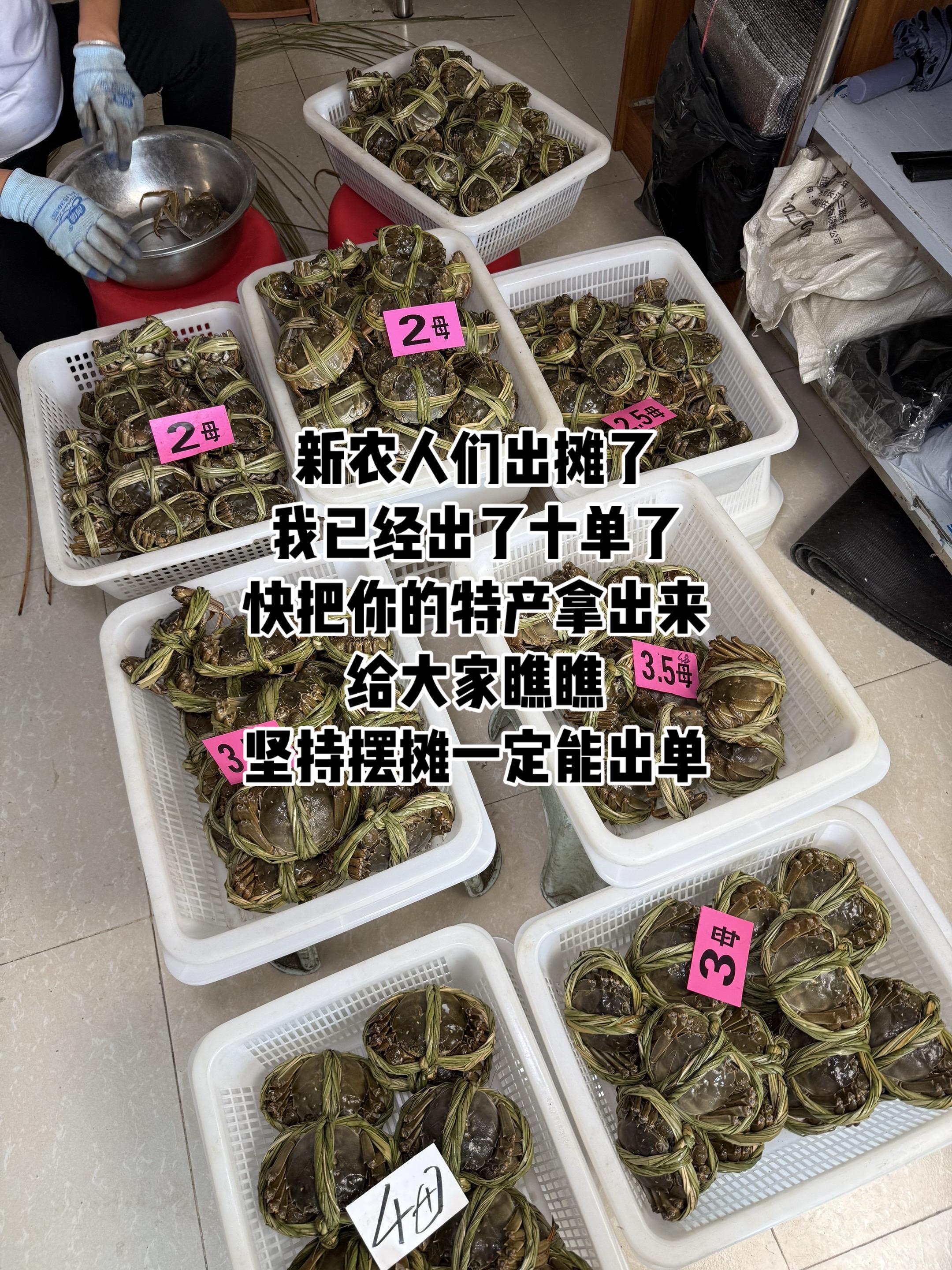 今年的大闸蟹又大又肥