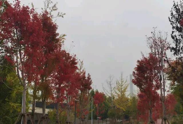 #记录这一刻#美好的时光不老，我们这边独好！
