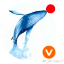我家鲸鱼会表演杂技哦 ​​​