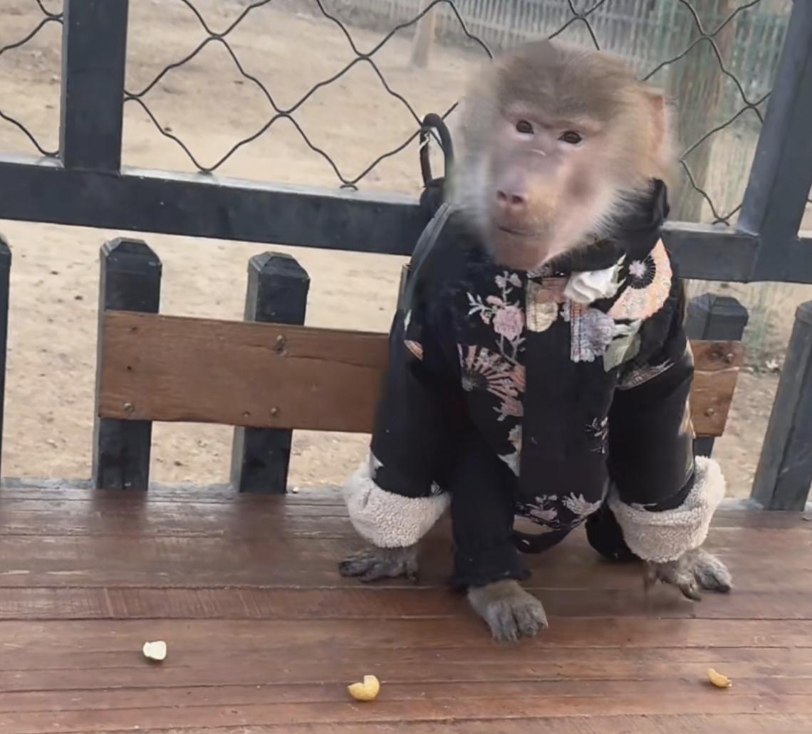 大哥好俊啊穿上衣服.