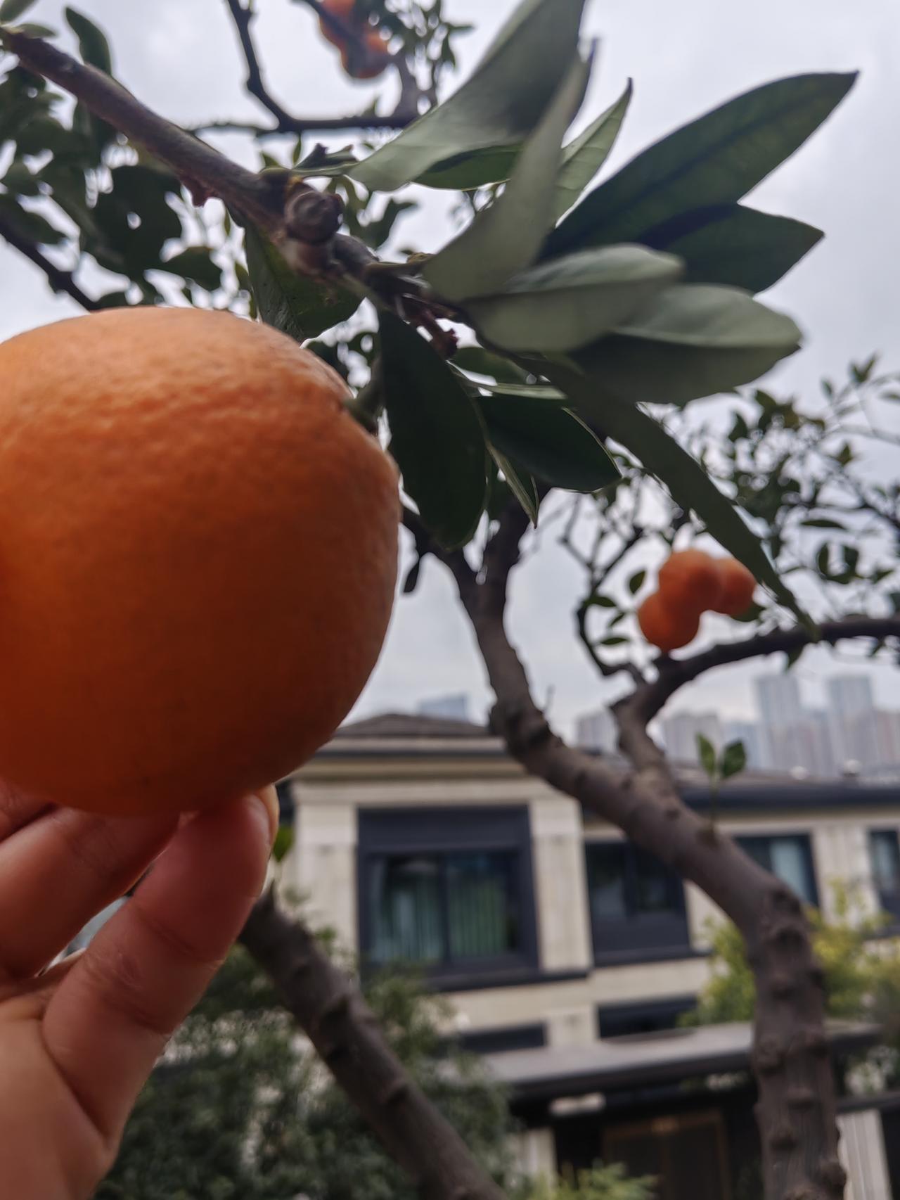 不出家门，想要的信息，需要的脚本，应有尽有，百姓的好帮手[赞]