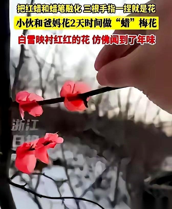 手指头一碰，那花，“咔”一声，掉了一小块。
居然是蜡做的。
就院子角落里那几棵光