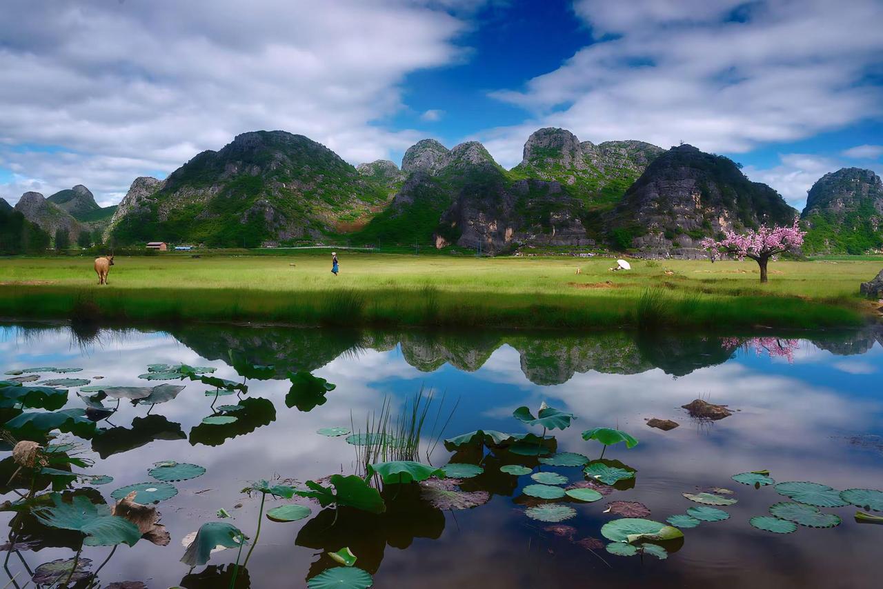 普者黑。普者黑山水间的诗意画卷 普者黑三生三世十里桃花源 风景如画的普者黑 山水