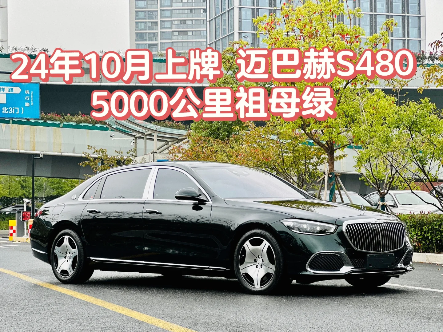急出24年迈巴赫S480 祖母绿外观