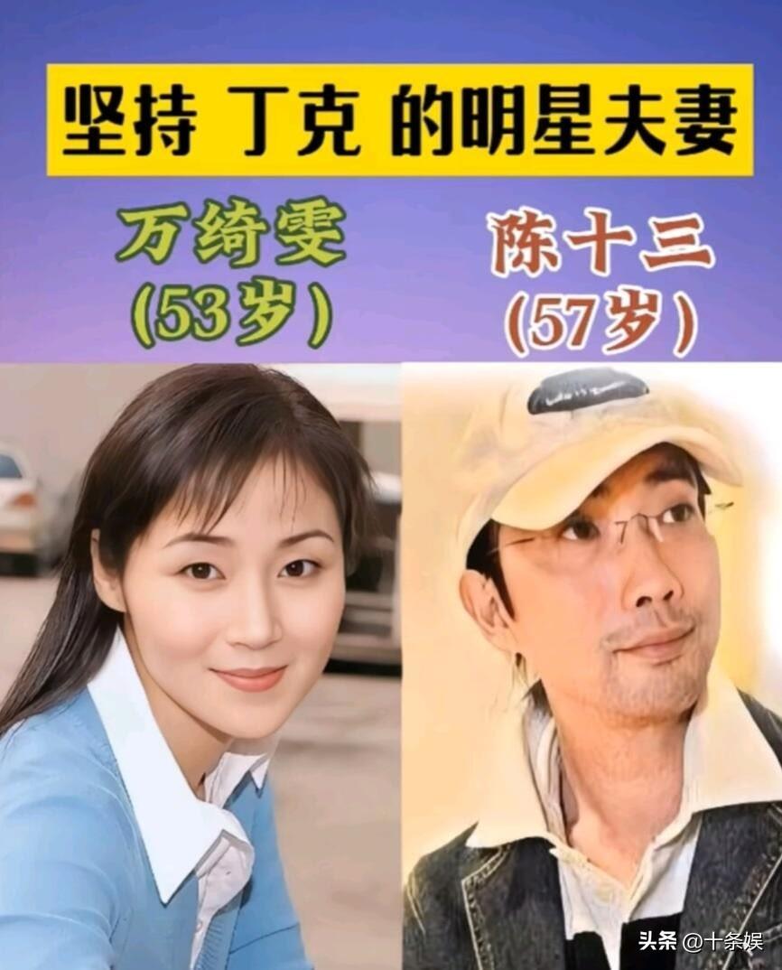 14对“丁克”的明星夫妻