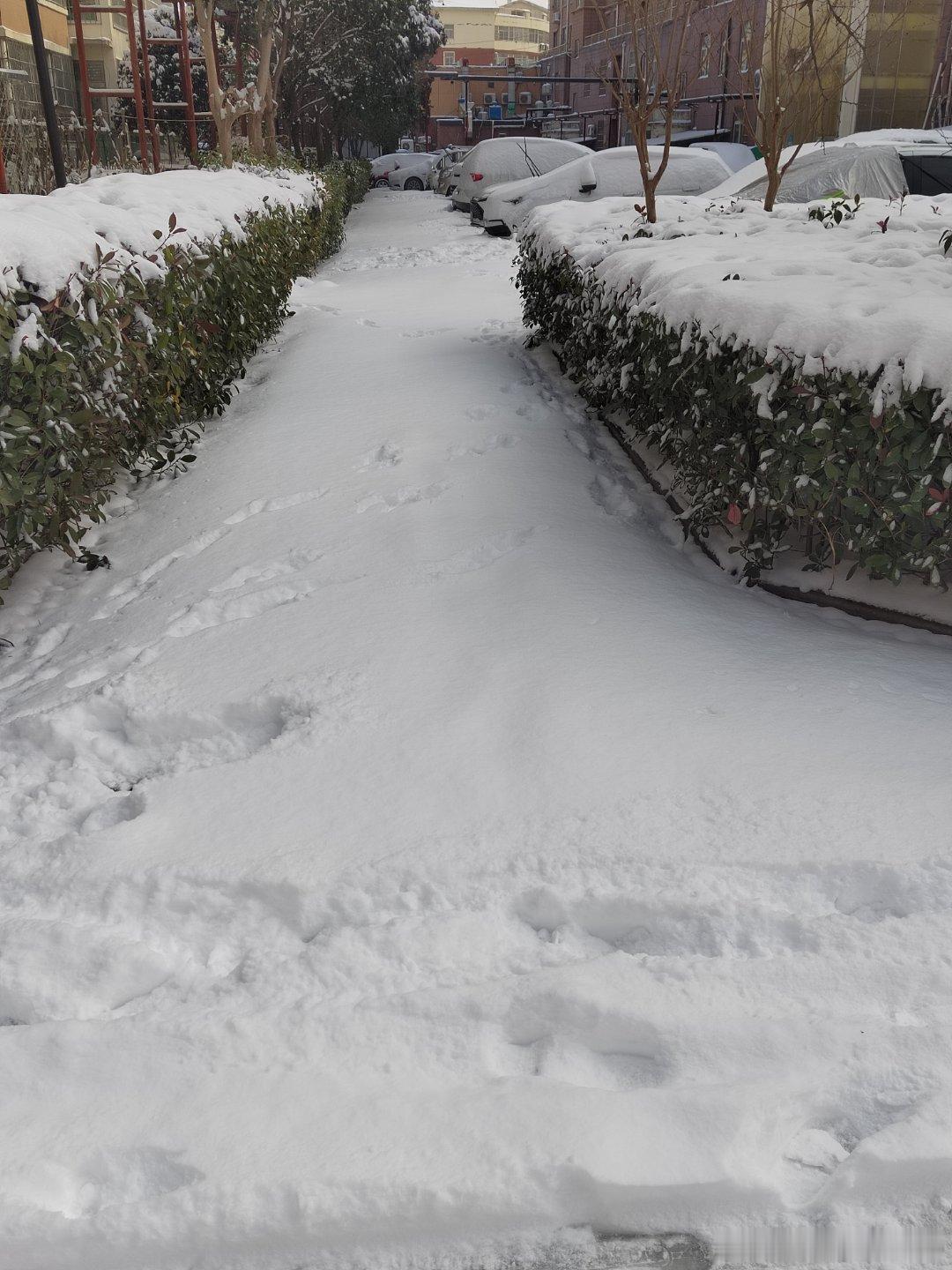 雪停了今天恢复正常上课了因为温度太低大部分雪还没有融化化了的一点点雪又冻成冰车撵
