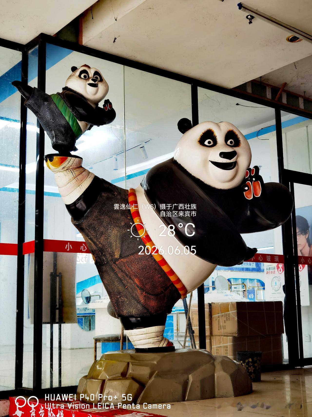 月居生活记录（9834）广西壮族自治区来宾市（60）：功夫熊猫、铁公鸡、无人驾驶