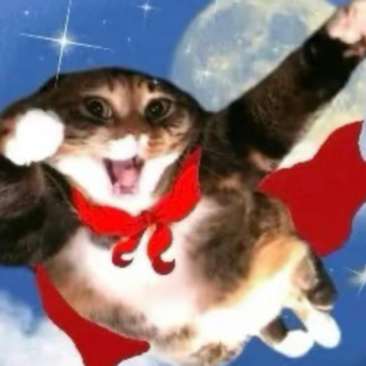我是不会放弃收集猫meme表情包的[跪了][跪了]猫猫表情包 ​​​