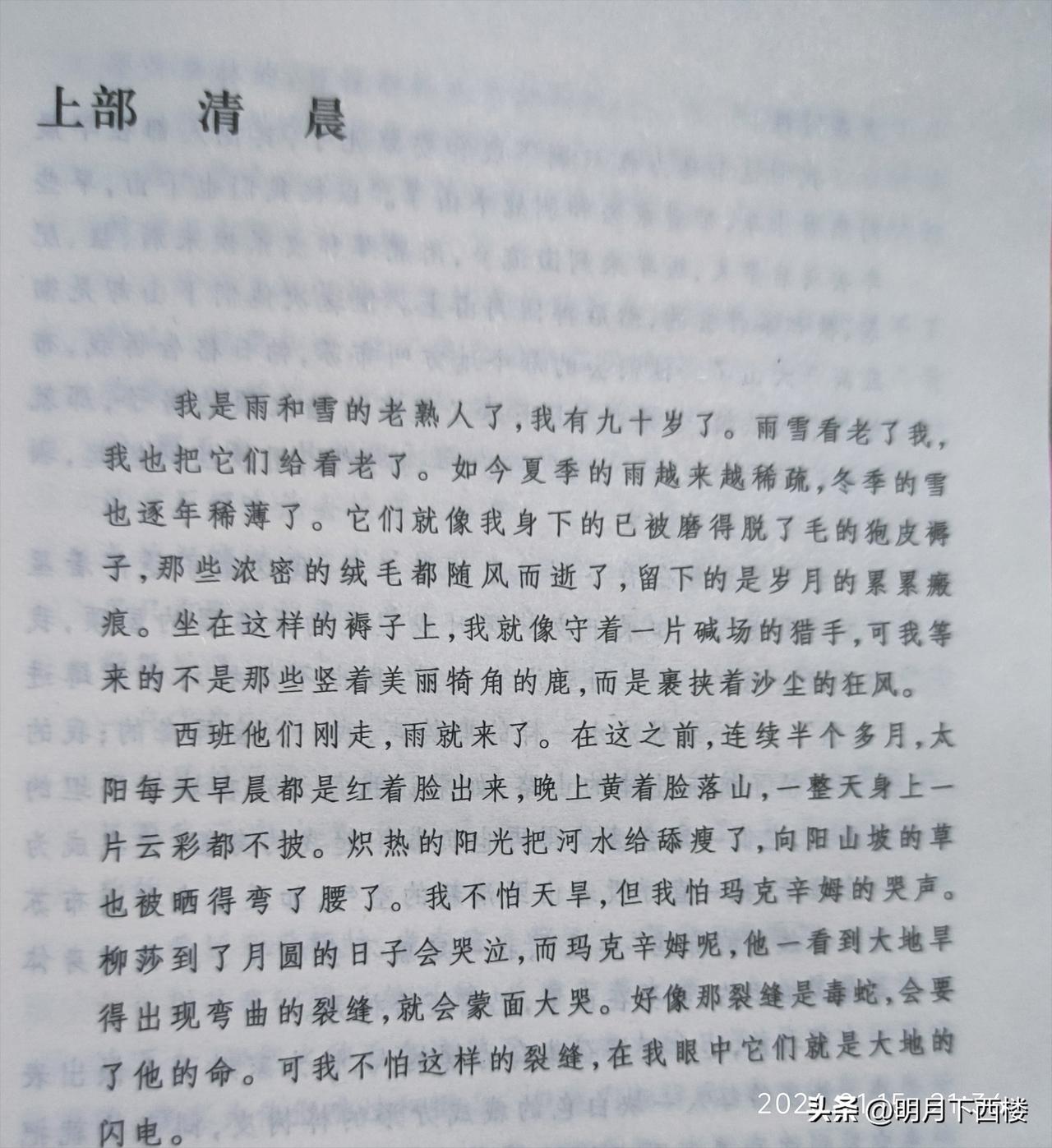 这是啥小说？开头就如此吸引人！