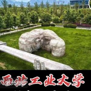 孤独的漂流瓶