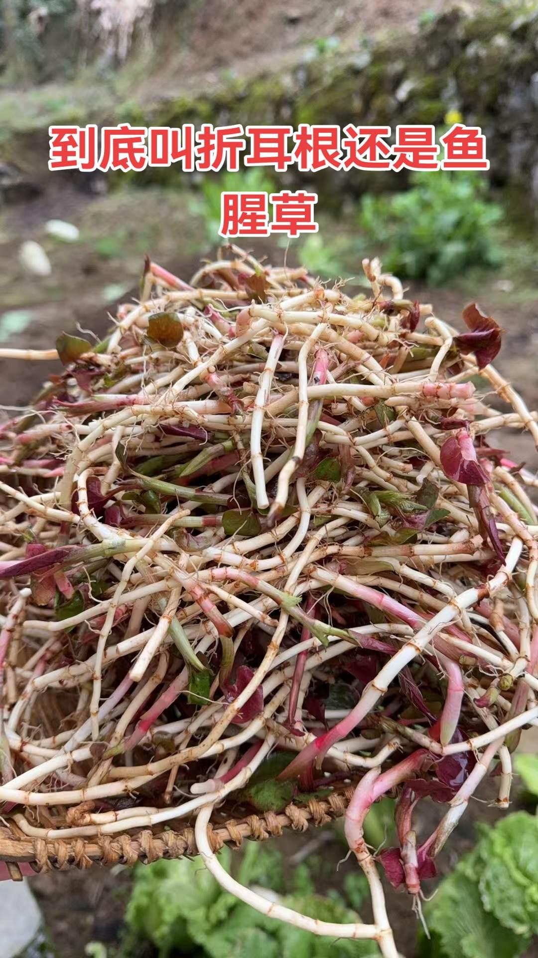 把每一天都当作新的起点，昨天已成回忆，今天才是礼物，愿你珍惜每一刻，不辜负生活的