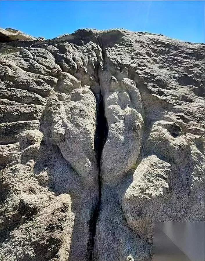 最近刷到曾副教授

好多热搜自动蹦出来

我这刚好眼睛干得发疼——

大数据怕不