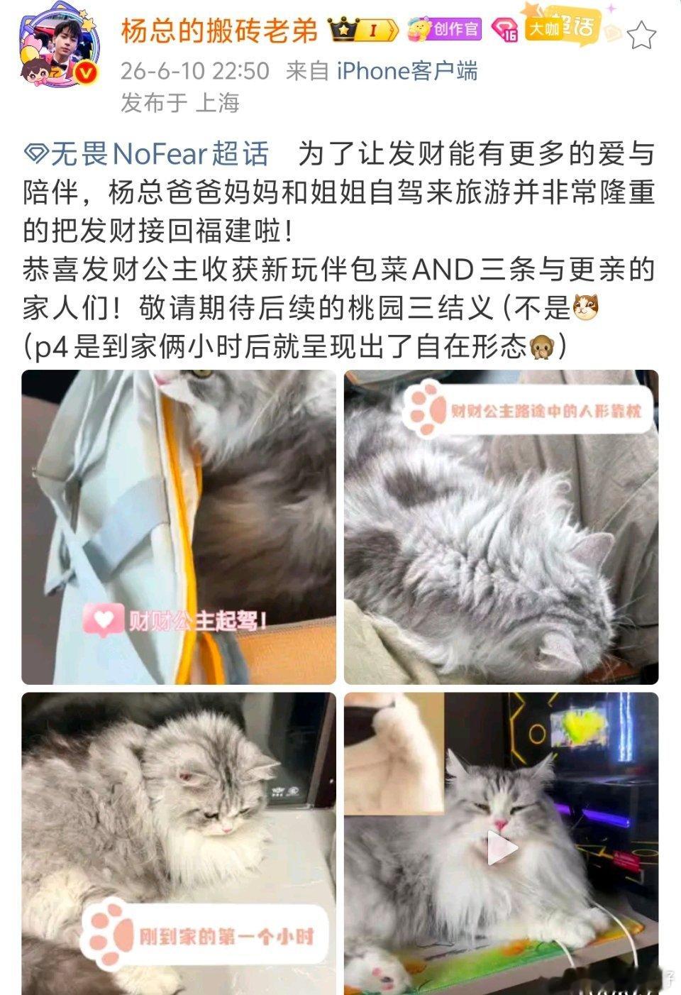 我们发财公主回福建去了 