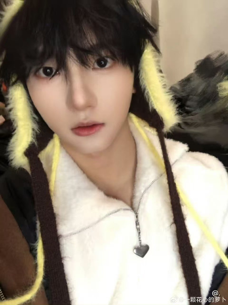 穆祉丞小蜜蜂下班 穆祉丞好喜欢小蜜蜂 这个丞丞是有多喜欢小蜜蜂🐝 